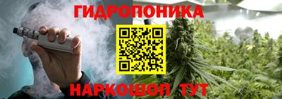 мдпв Кингисепп