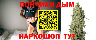 мдпв Кингисепп