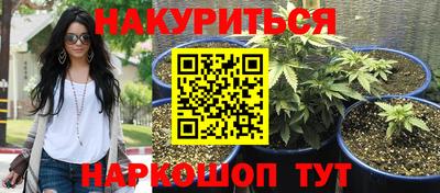 spice Кимры