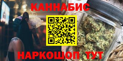 мдпв Кингисепп