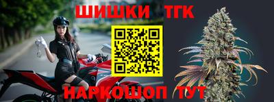 мдпв Кингисепп