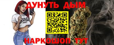 мдпв Кингисепп