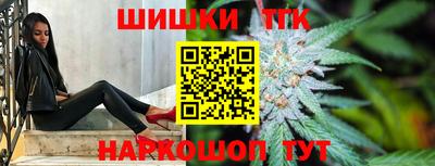 мдпв Кингисепп