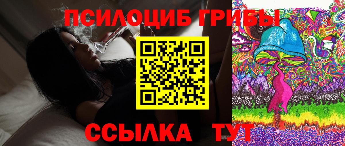 Галлюциногенные грибы мицелий Благовещенск